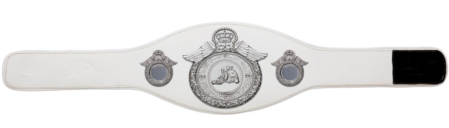 JIU JITSU CHAMPIONSHIP BELT-PROWING/S/JJS-6+ COLOURS JIU JITSU CHAMPIONSHIP BELT-PROWING/S/JJS-6+ COLOURS